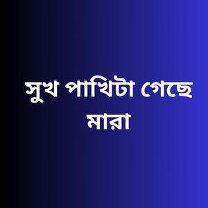 সুখ পাখিটা গেছে মারা