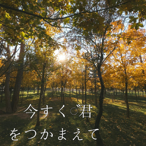 今すぐ君をつかまえて
