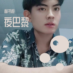 夜巴黎(DJ版).mp3