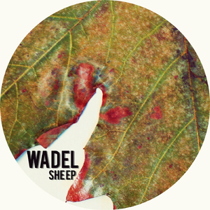 Pof (Original Mix)