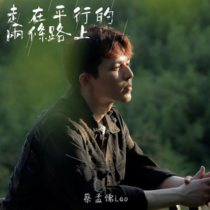 走在平行的两条路上