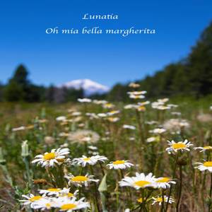 Oh mia bella margherita