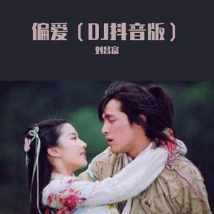 偏爱（DJ抖音版）