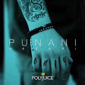 Punani (Radio Edit)