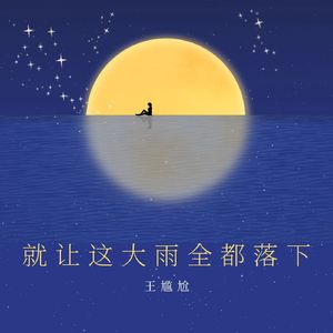 就让这大雨全都落下