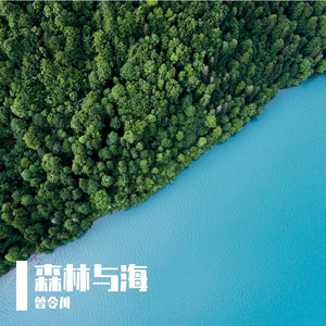森林与海
