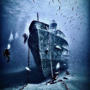 2k17, j'parle avec les animaux