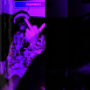 Trapnest