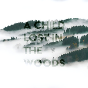 All Good in The Wood