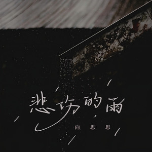 悲伤的雨 (DJ九零版)