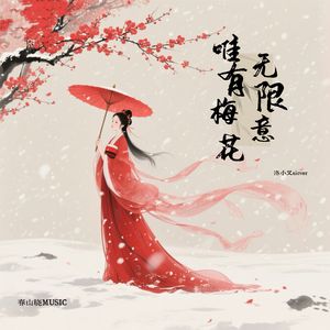 唯有梅花无限意