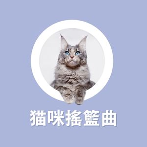 動物音樂