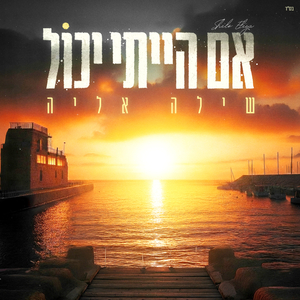 אם הייתי יכול