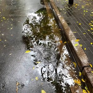 校园的青涩心动