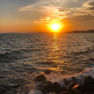 最后的人（翻自 杨小壮）