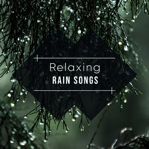 Countryside Rain and Thunder