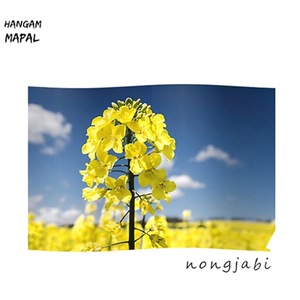Hangam Mapal
