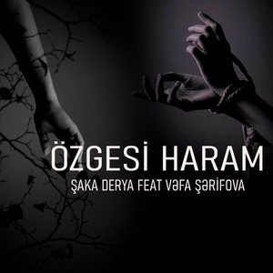Özgesi Haram