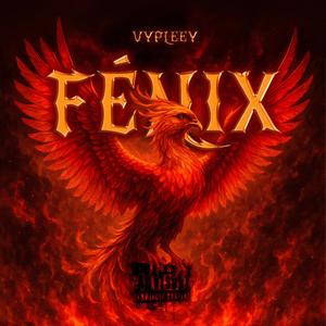 diVIZE