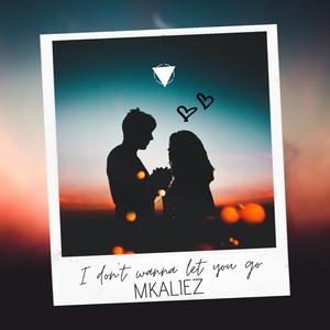 I Don't Wanna Let You Go