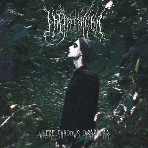 Forgotten Cementery