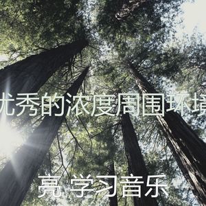 微妙的专注心情