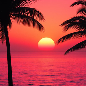 Tropical House Vol.73