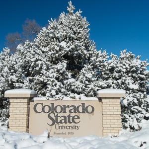 CSU (feat. 808 nami)