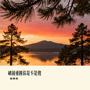 破镜重圆你是不是傻