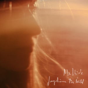 Rue des Oiseaux (Live)