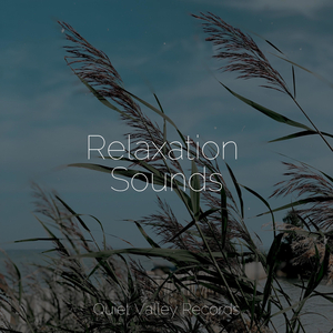 Calm Music
