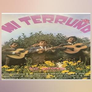 Terruño