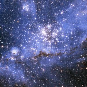 万千花蕊慈母悲哀