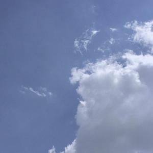 Love9（女声版）