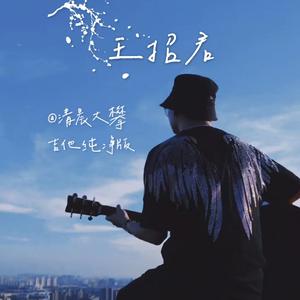 王招君（吉他纯净版）