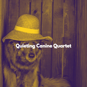 Heavenly Ambiance for Ocean Drives