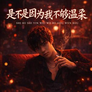 是不是因为我不够温柔(R&B版)