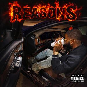 Reasons