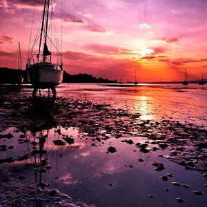 帕米尔高原之情