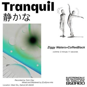 Tranquil (feat. Ziggy Waters)