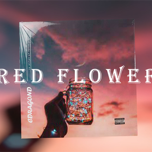 【免费可商用】Justin Bieber&LAROI type Beat“Red Flower”