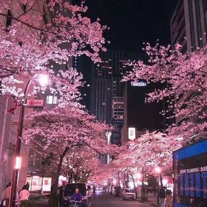 画长汀2024ProdMoDi_dx1