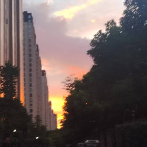 【FREE】“落日晚霞”plugg×Juice Wrld×千禧年×emorap type beat