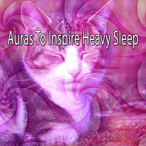 Soaring High with Hope