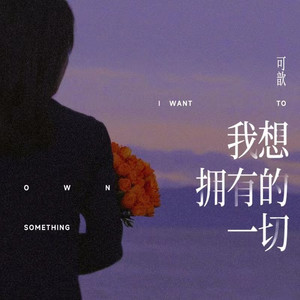 我想拥有的一切