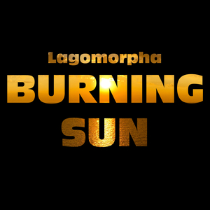 Burning Sun (Radio Edit)