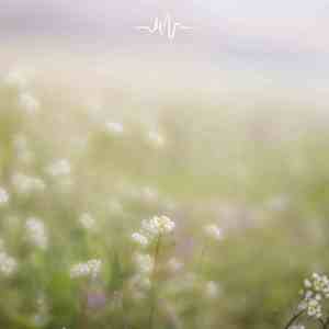 清风明月 (古筝+水滴声)