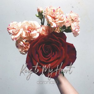 Canon in C (Solo Piano Cover)