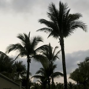 Mym（3D 环绕版）（Salao remix）