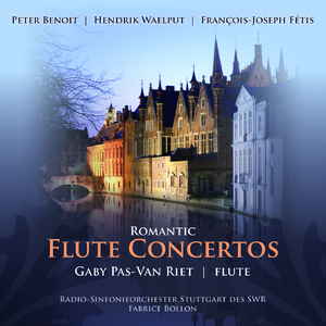 Flute Concerto in B Minor: I. Allegro